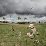 bee-eater bird surrealist photographic art Alastair Magnaldo