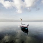 Aigle poussin Camargue Alastair Magnaldo Photo d'Art