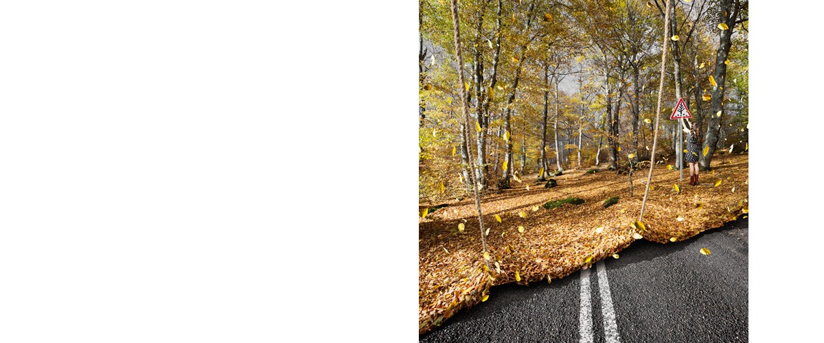 C216-rouleau d'automne